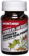 Echinacea-Golden Seal Power