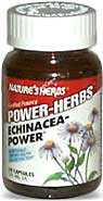 Echinacea-Power